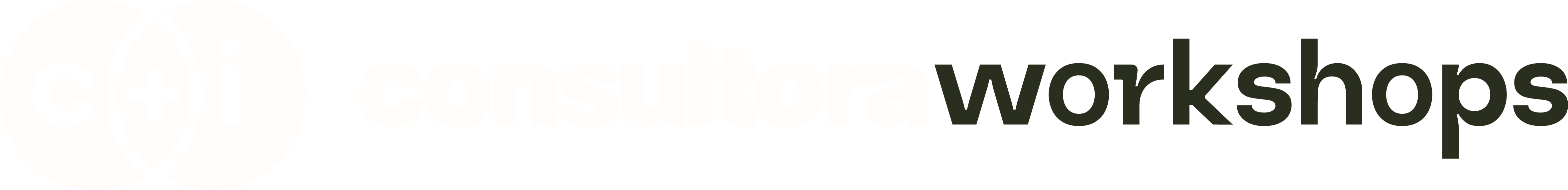 Workshops - Consultora C+I